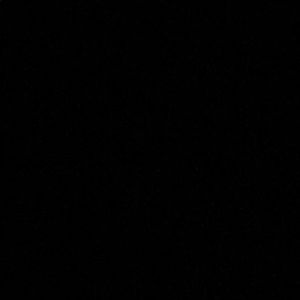 Meet your Posher, Pippa